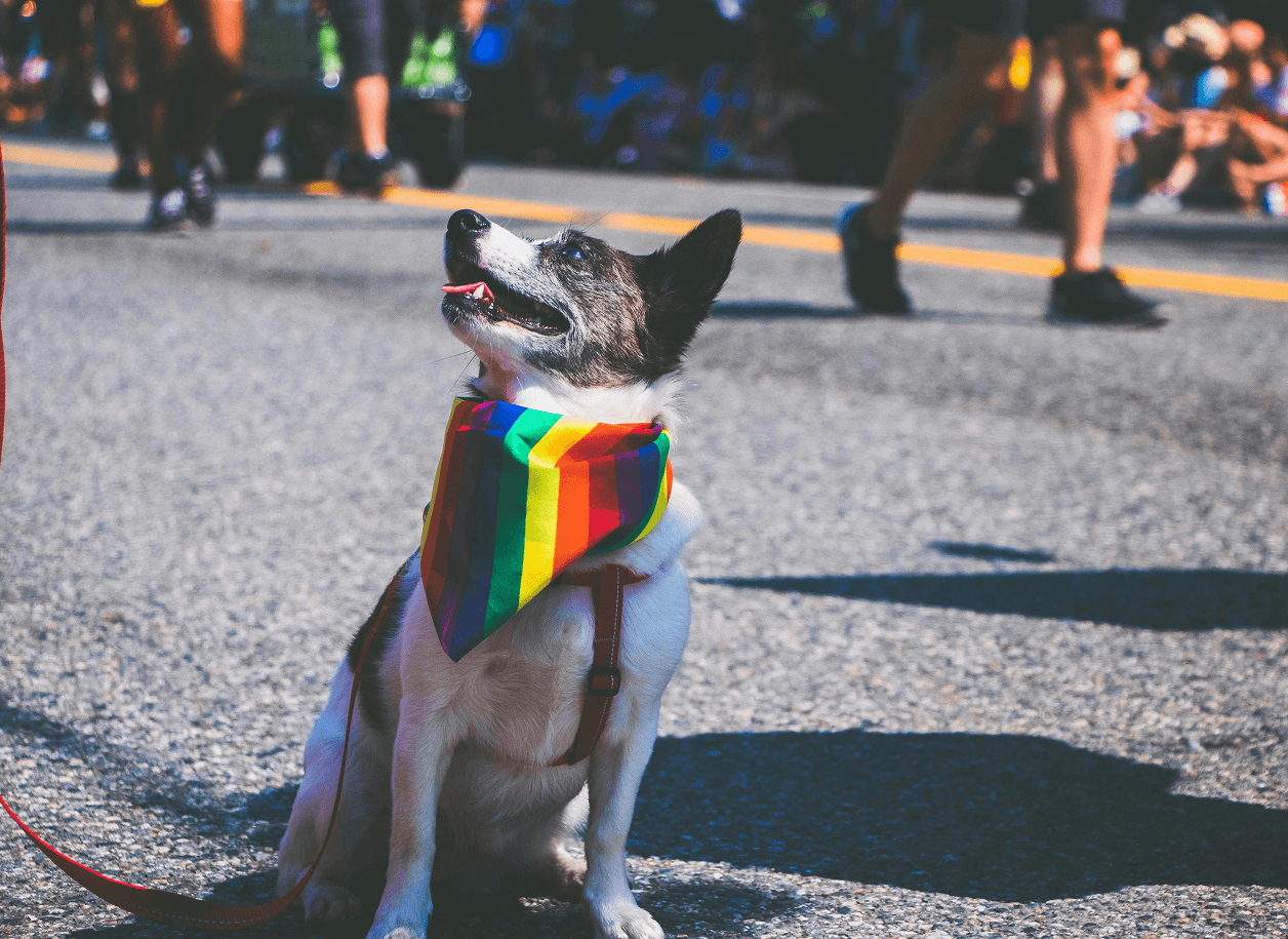 Flure Blog — Stories, Dating & Explorationship Articles 10 Liberating Ways to Coming Out as Gay or